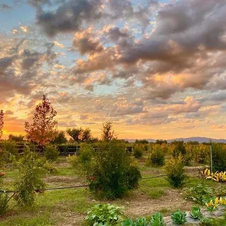 Le Grazie Farm stay Principina Terra